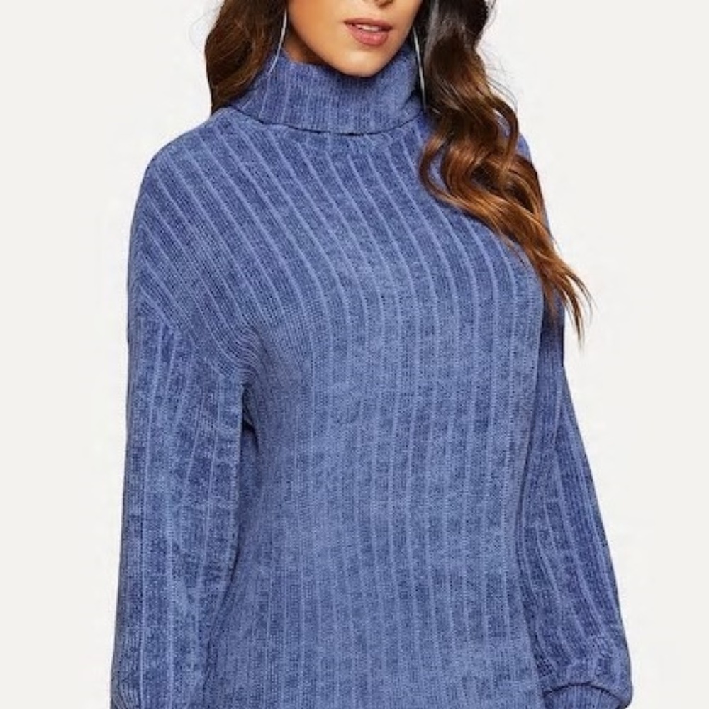 Roll Neck Solid Knit Dress